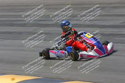 media/Mar-29-2025-Pro Autosports (Sat) [[89b1c017ad]]/6-Purple Group/Session 2 (Bowl)/